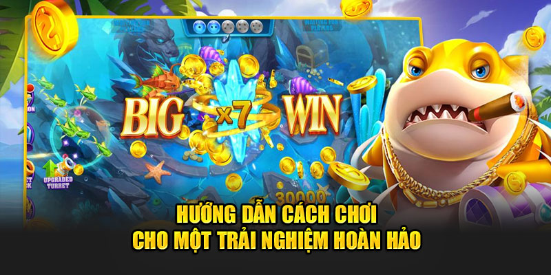 Hướng dẫn cách chơi cho một trải nghiệm hoàn hảo