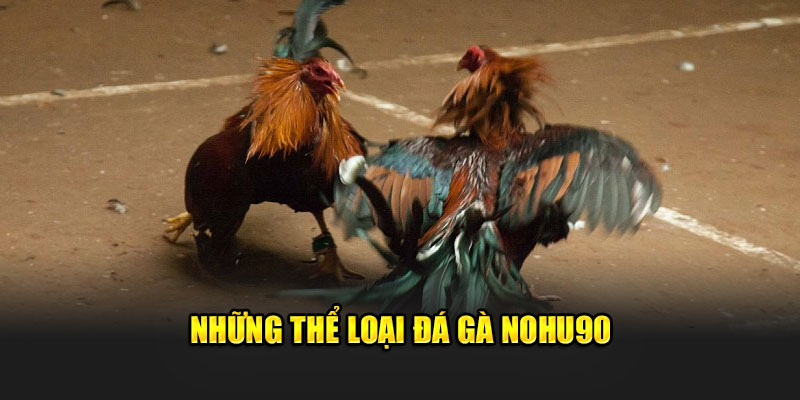 Những thể loại đá gà Nohu90